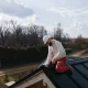 Un homme travaille sur un toit, utilisant des outils pour effectuer des réparations ou des installations.
