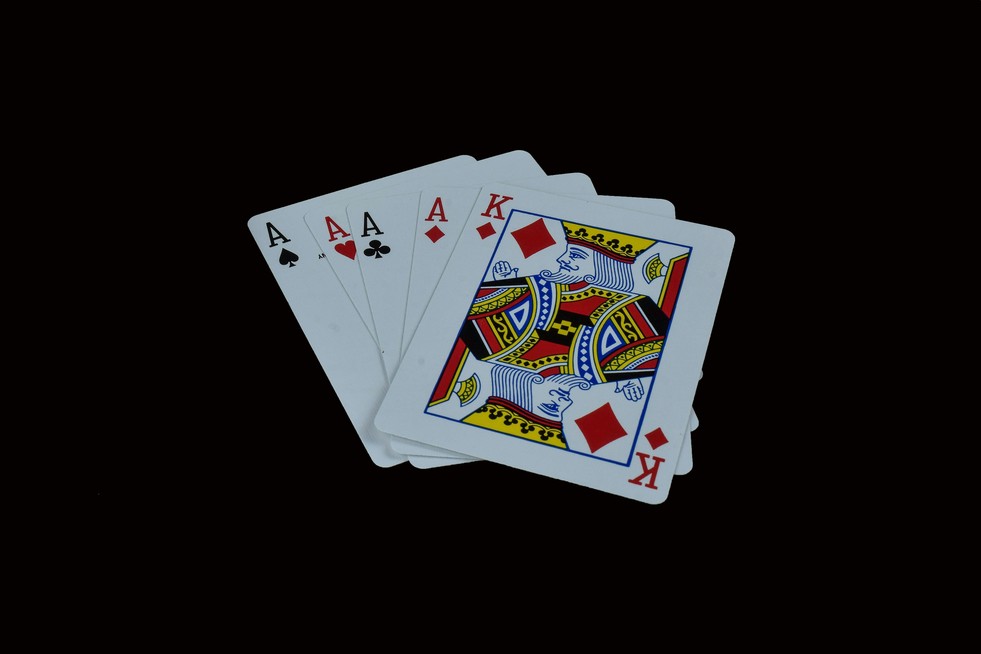 harry casino